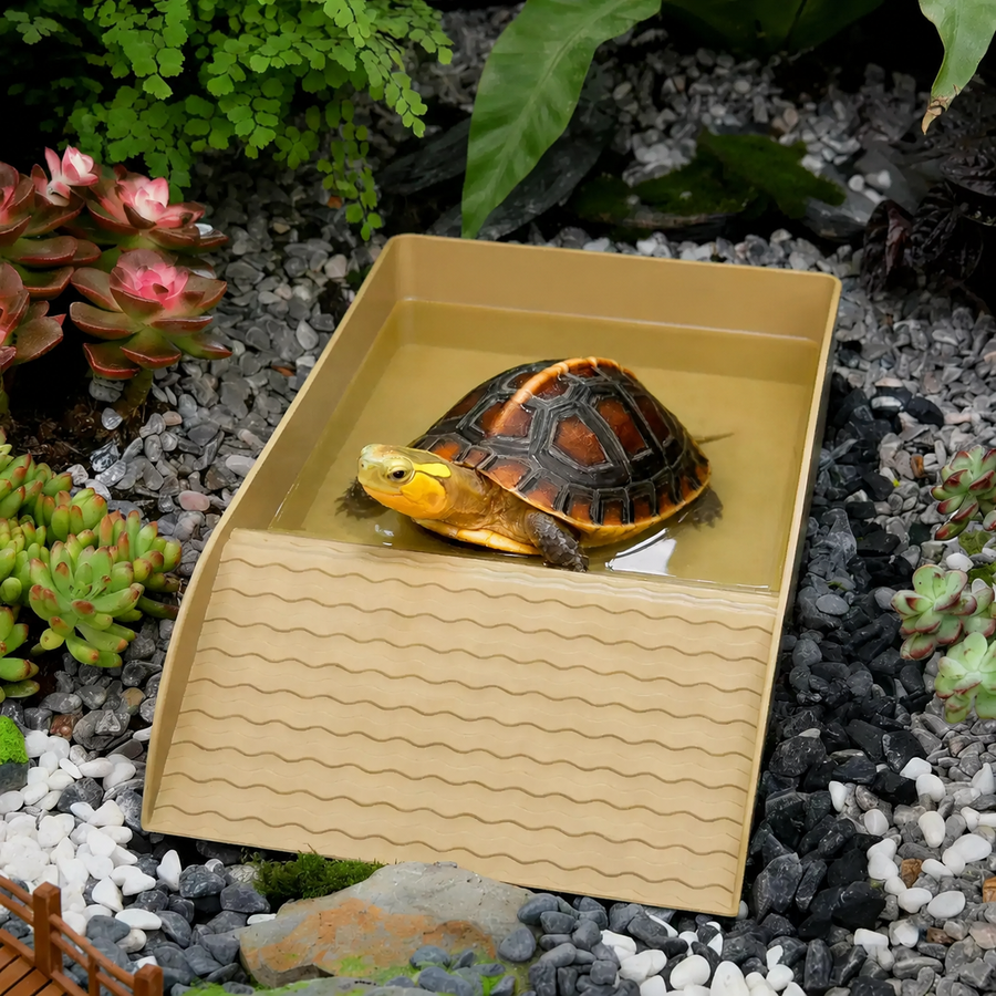 Large Turtle Bathing & Basking Basin