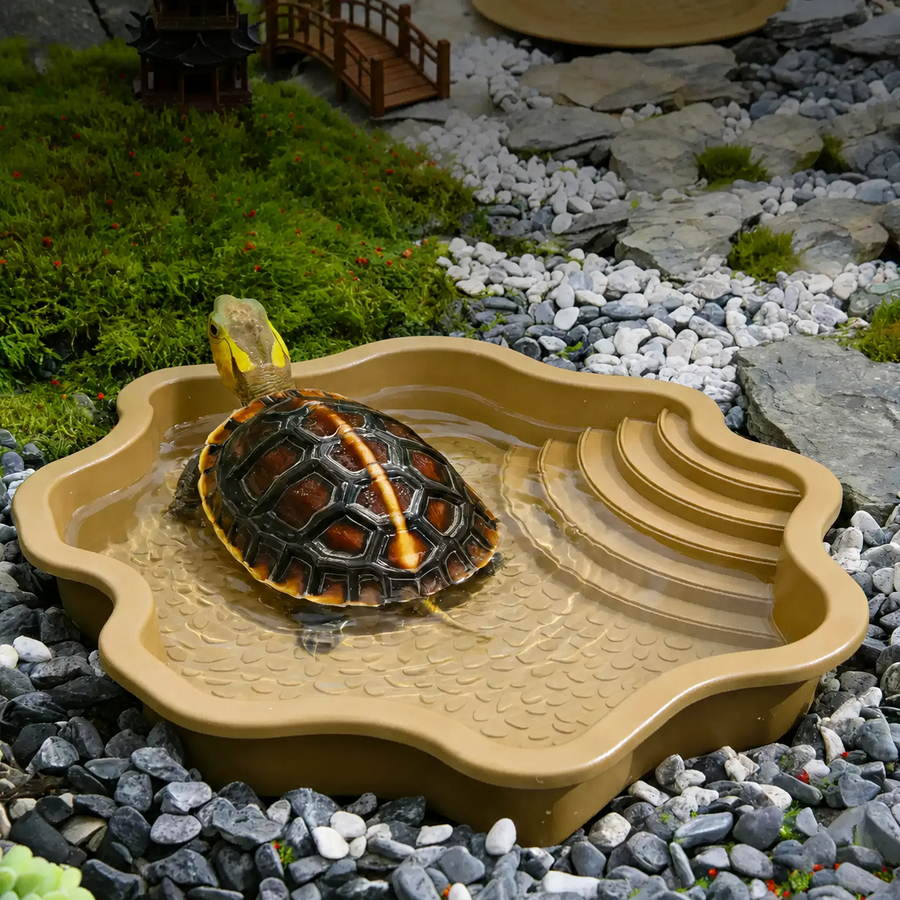 Scalloped Turtle Bathing Basin